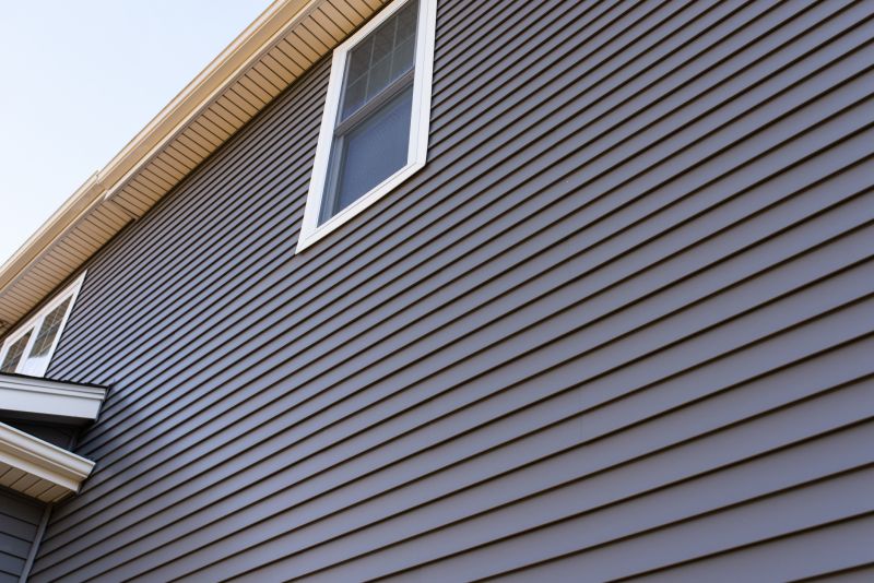 Colorful Siding Options