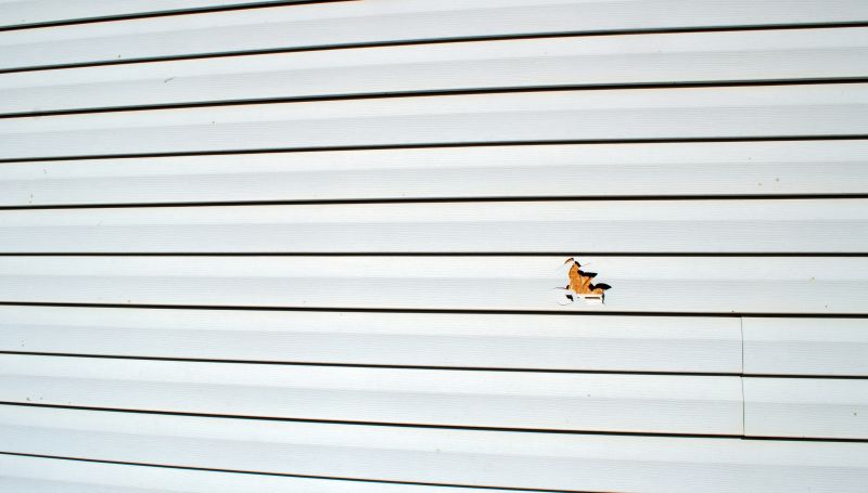 Professional Vinyl Siding Fix