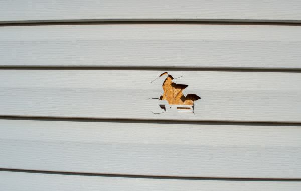 Cost of Siding Hole Repair in Crown Point