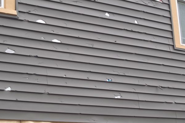 Cost of Damaged Siding Replacement in Crown Point