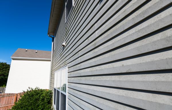 Cost of Vinyl Siding Panel Replacement in Crown Point